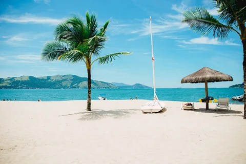 A palm leaning over white sand and shallow water