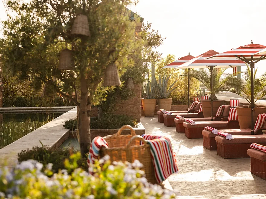 A planted courtyard and terrace inside a Marrakech riad