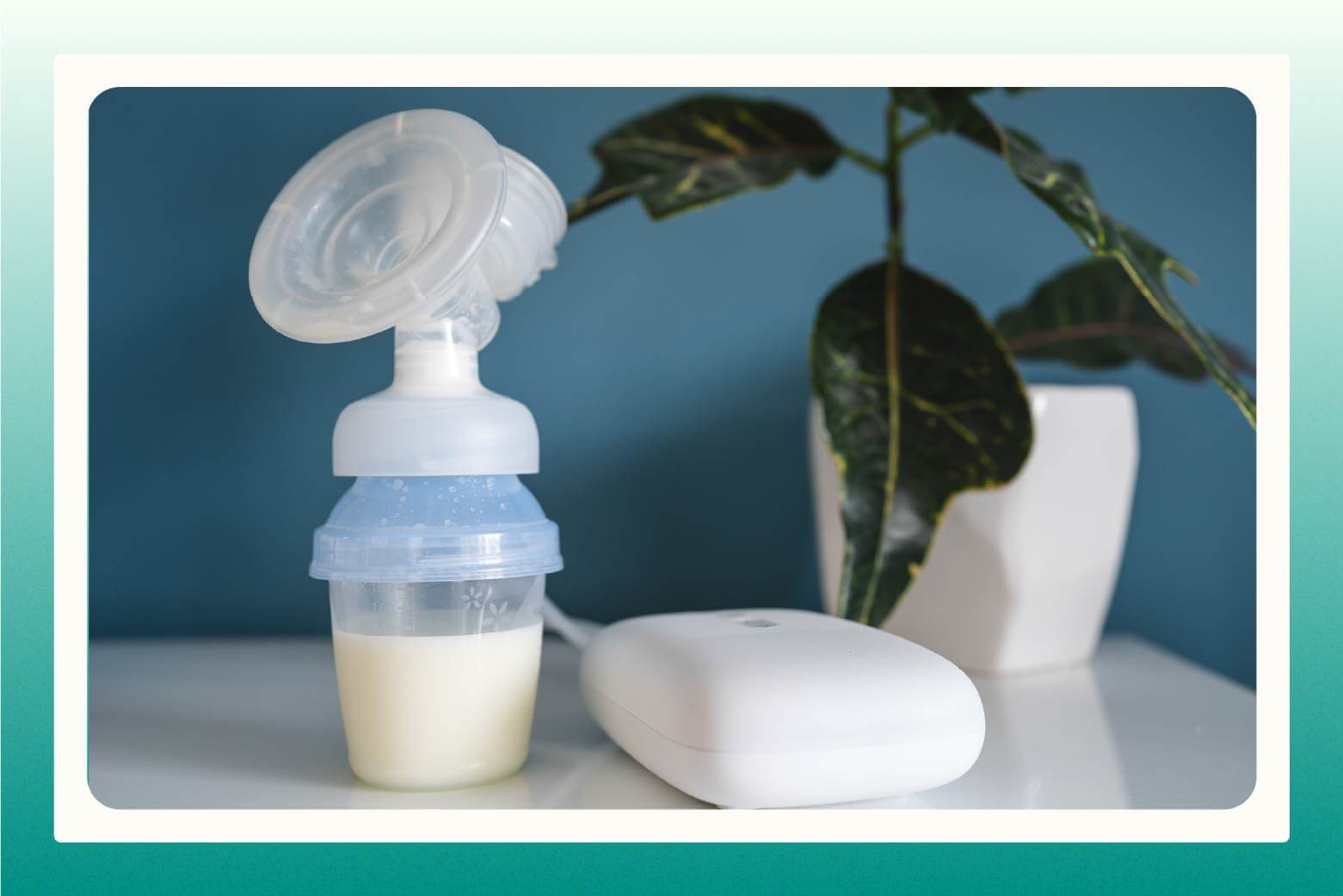 Half filled breast pump with attached bottle sitting on counter with potted plant in background
