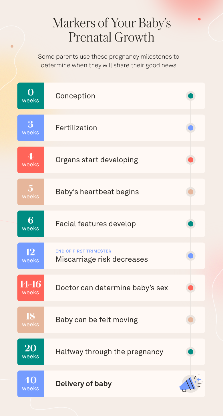 chronological list of markers of. your baby's prenatal growth