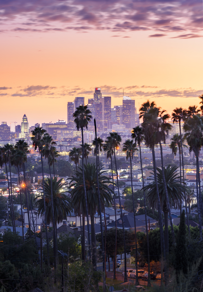 Sunset with Los Angeles skyline and palm trees
