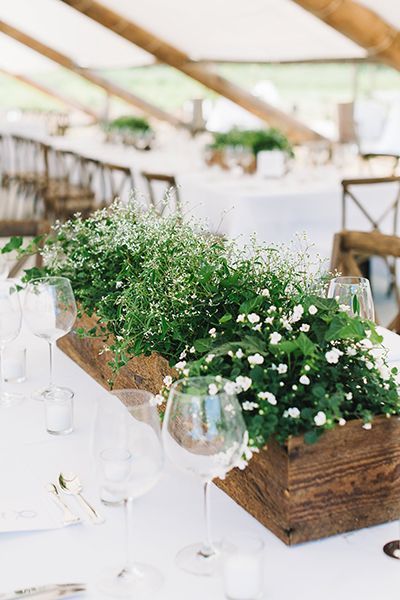green potted plants arranged on a wedding reception table surrounded by glassware