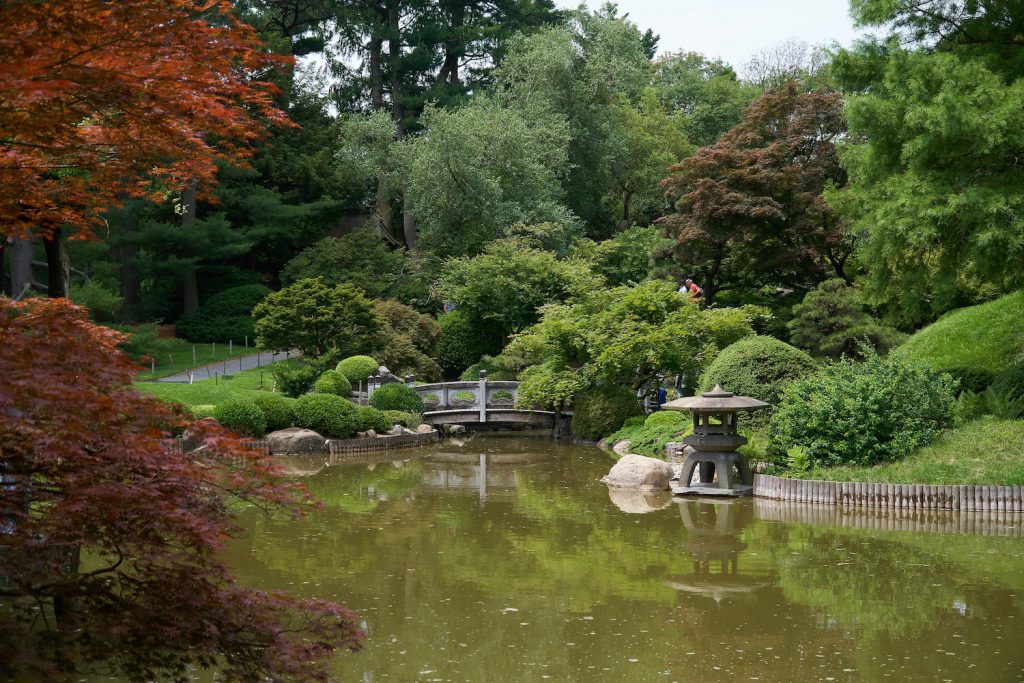 brooklyn botanic garden engagement photo location nyc