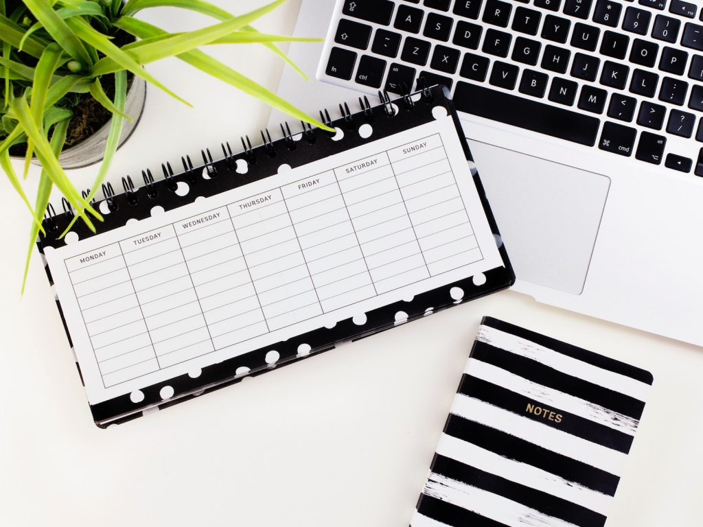 plant, planner, notebook, and laptop displayed on a white background