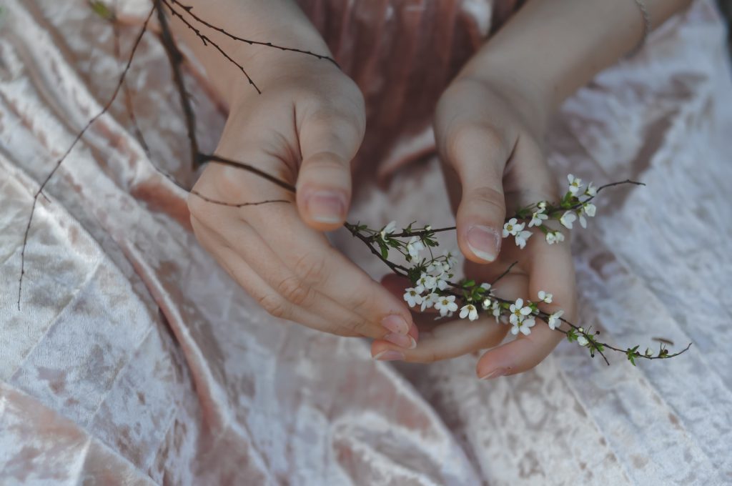closeup of woman's hands holding a flowery branch