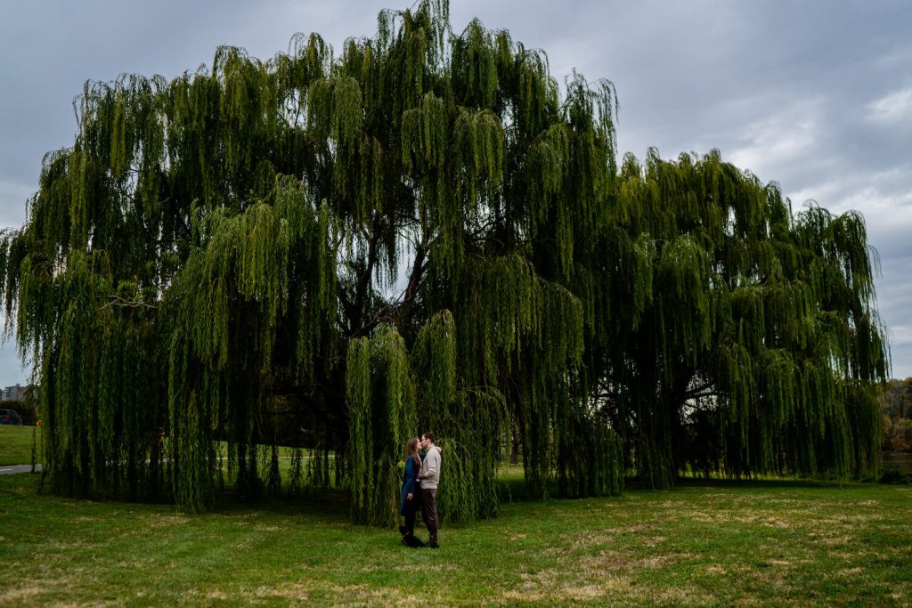 mount vernon trail engagement photo dc