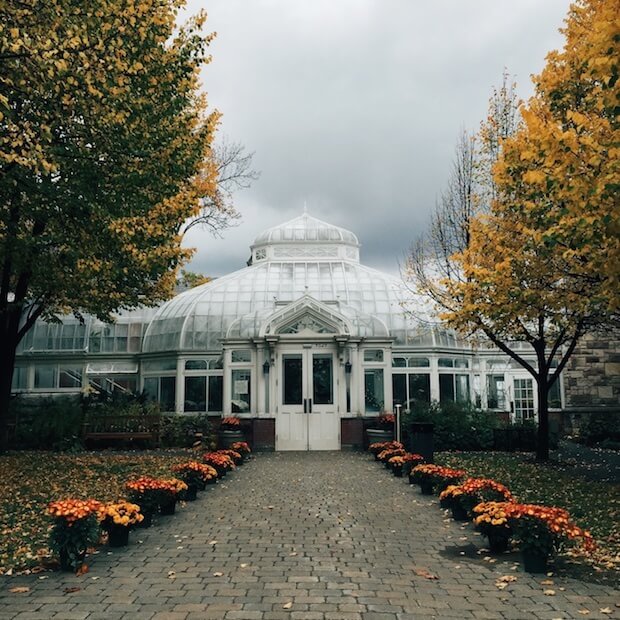 westmount conversatory and greenhouses best place to propose in montreal