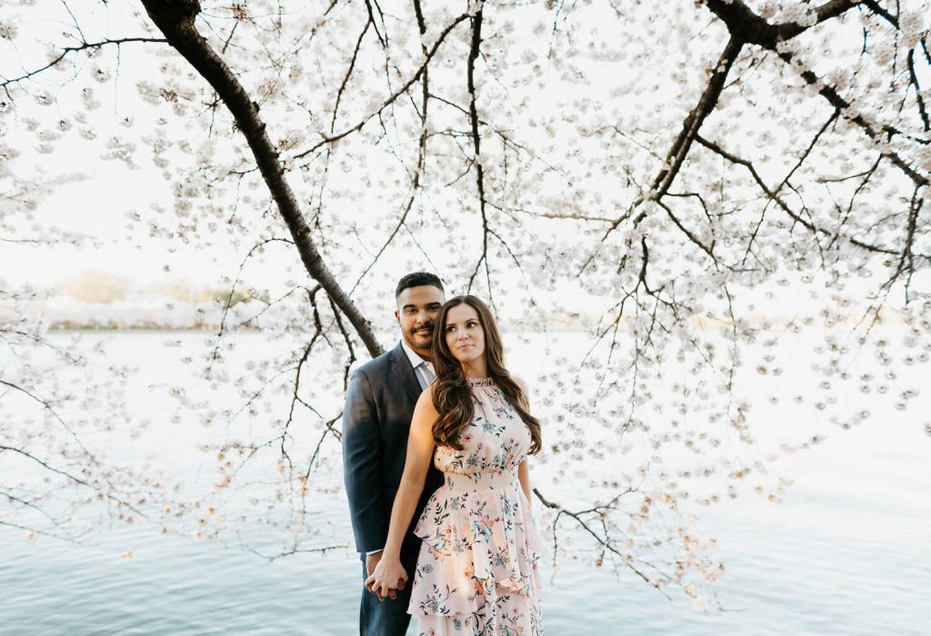 cherry blosson festival engagement photo dc