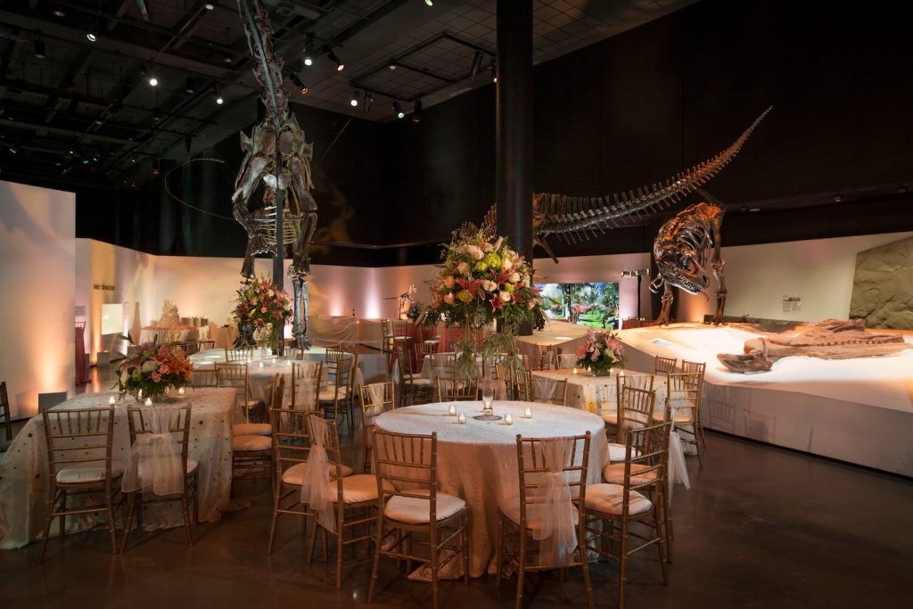 houston museum of natural science affordable wedding venue houston