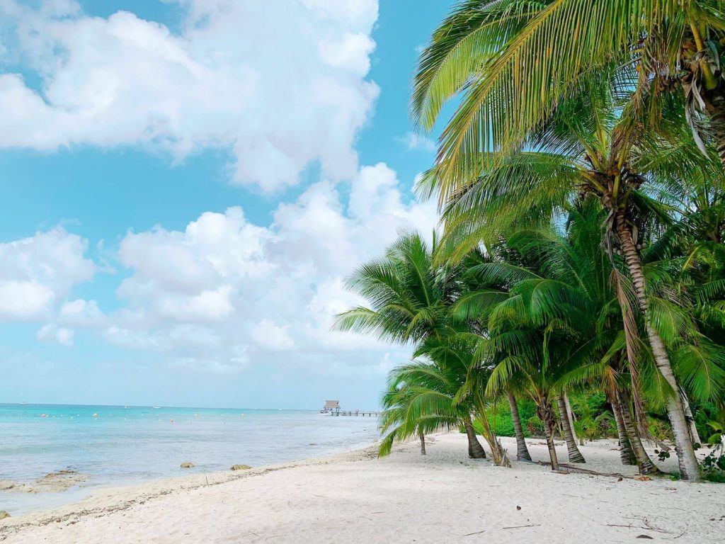 cozumel mexico destination wedding