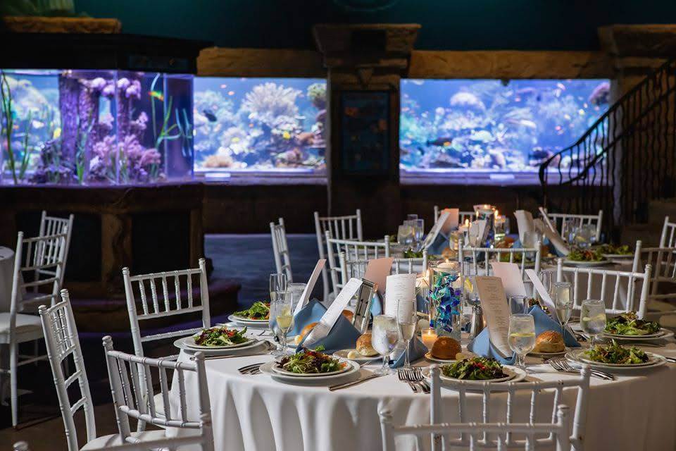 Acuario de Long Island lugar único para bodas en NYC