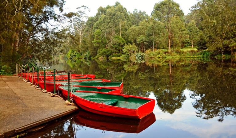 lane cove national park proposal ideas sydney