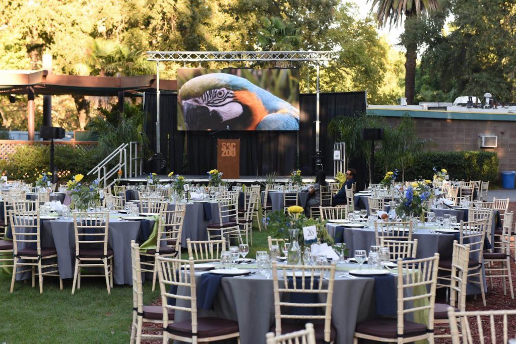 Amazing Outdoor Wedding Venues Sacramento in the world The ultimate guide 