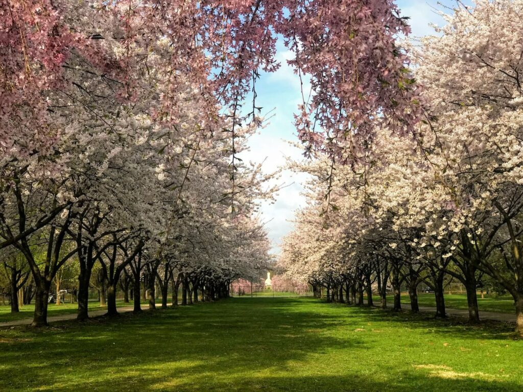 fairmount park horticulture center outdoor wedding venues philadelphia