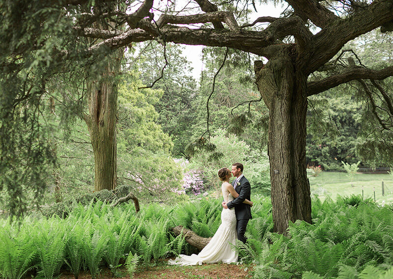 morris arboretum outdoor wedding venues philadelphia 