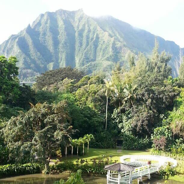 haiku gardens oahu wedding venues