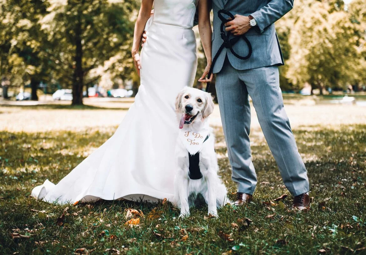 A couple in wedding attire holding the leash of a dog wearing a bandana that reads "I do"