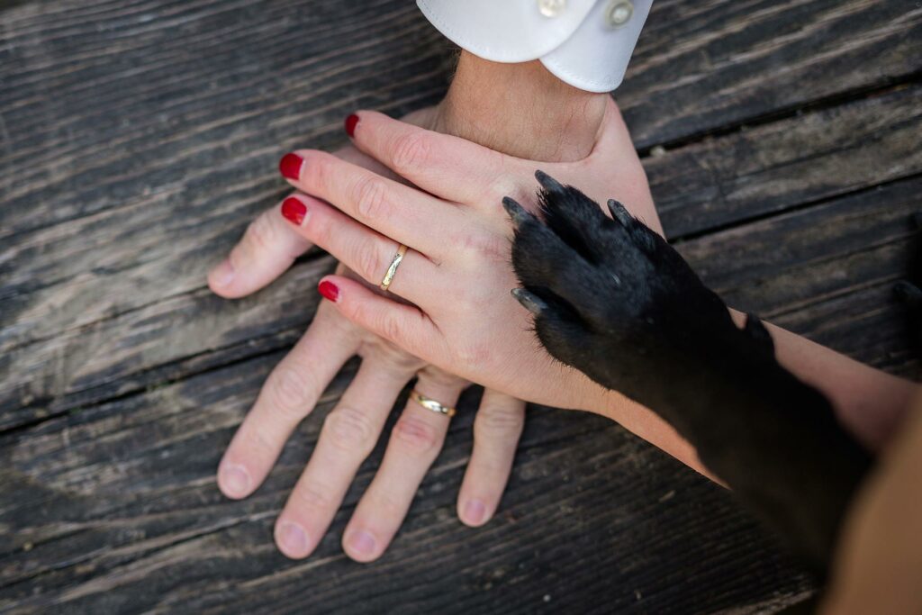 Two hands with wedding rings with a dog paw resting on top