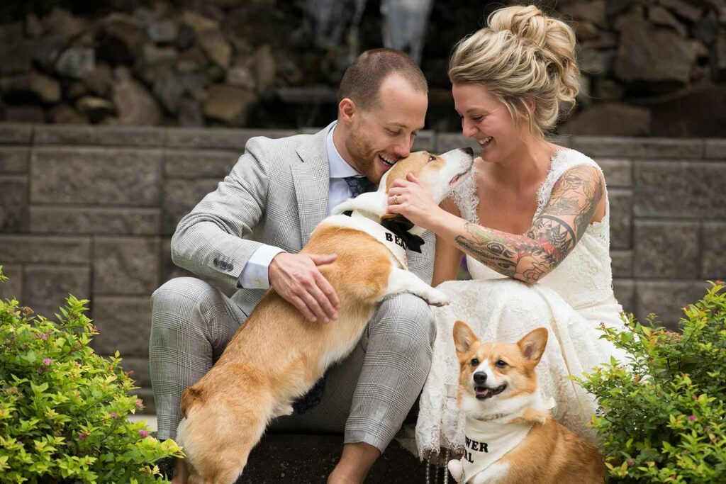 A couple wearing wedding attire holding two dogs with bandanas