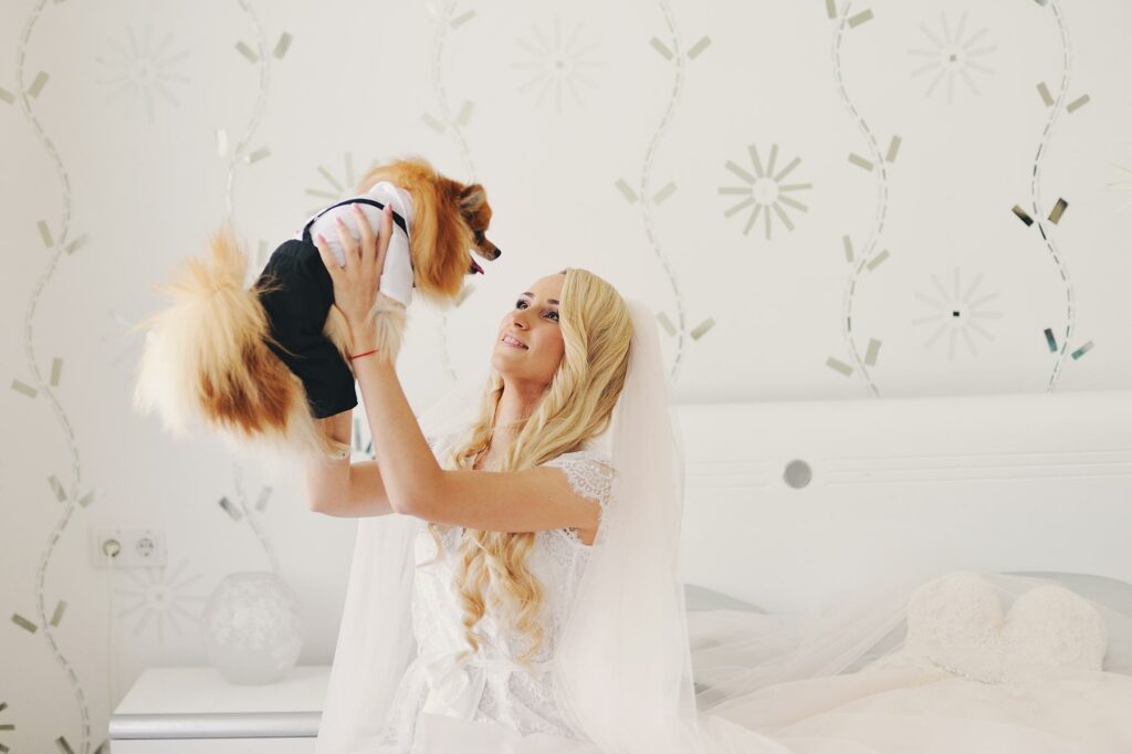 A bride getting ready at home with a dog dressed in wedding-themed clothes