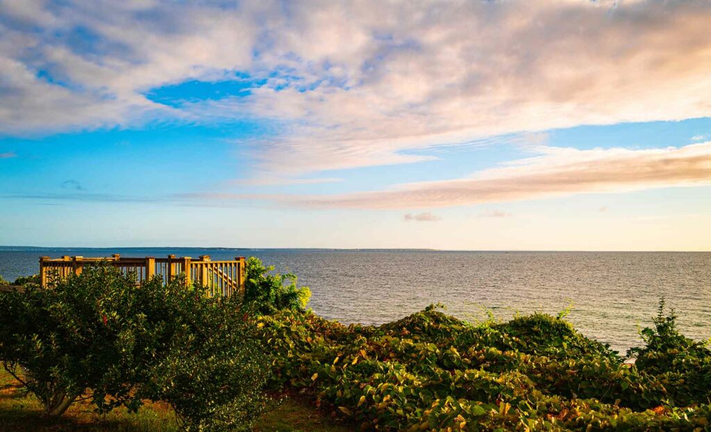 A wooden-stair lookout point at Cape Cod during golden hour, with an expanse of sea and greenery