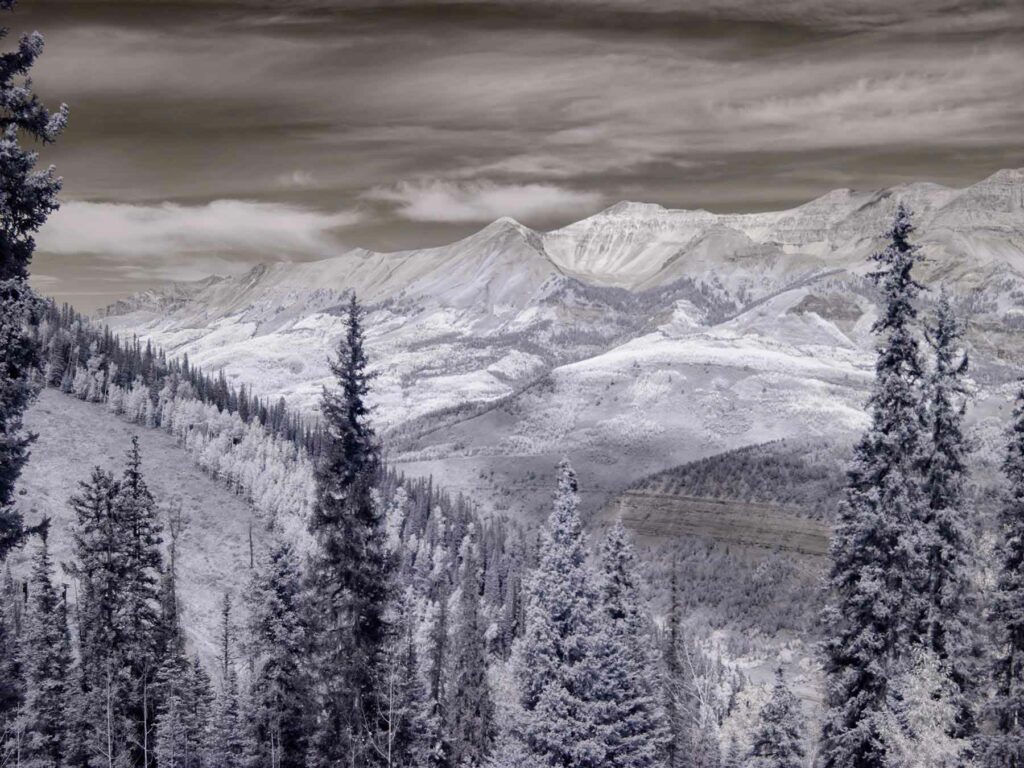 A view of snow-capped mountains and trees in Telluride, Colorado
