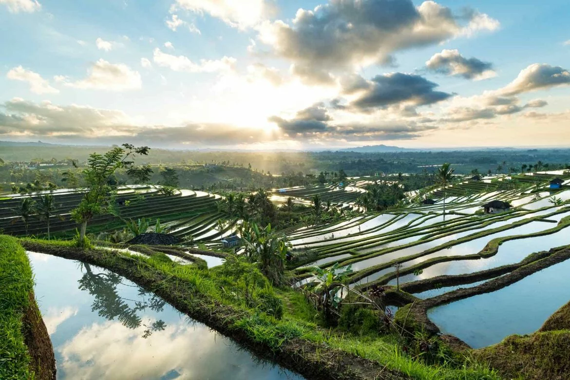 Beautiful sunrise over the Jatiluwih Rice Terraces in Bali, Indonesia