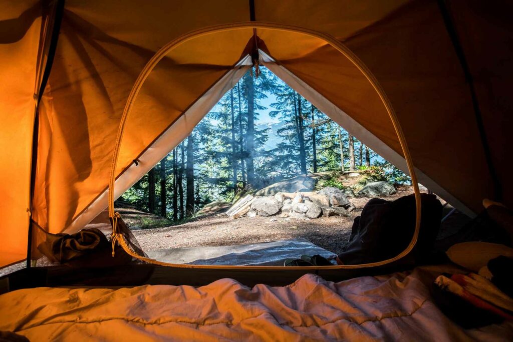 A view from inside a tent looking out at the forest