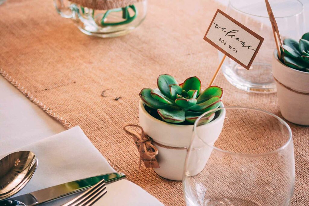 Mini potted succulent atop white and burlap decorated table