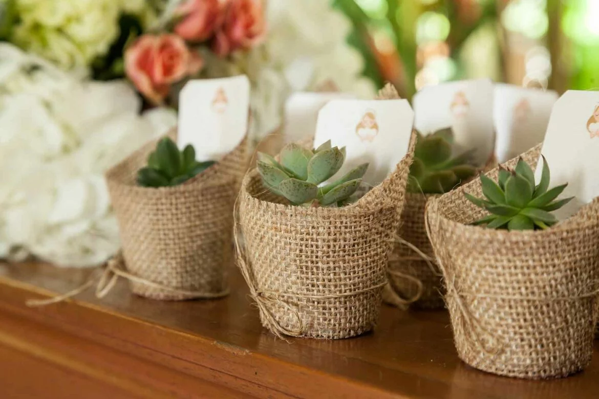 Three succulents wrapped in burlap with flowers in the background given as wedding shower favors