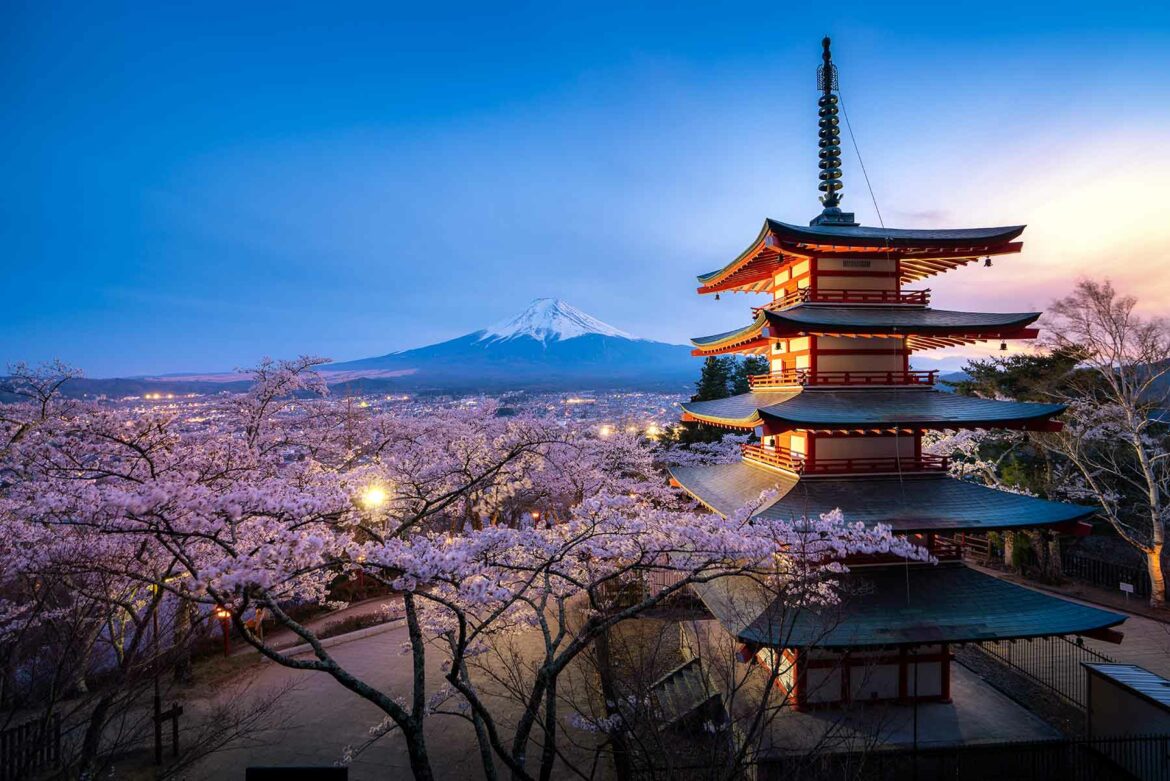 A twilight view of a honeymoon in Japan with Mount Fuji in the distance and cherry blossoms surrounding a temple in the foreground
