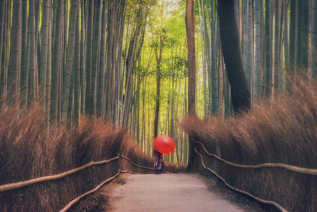 Arashiyama Bamboo Grove