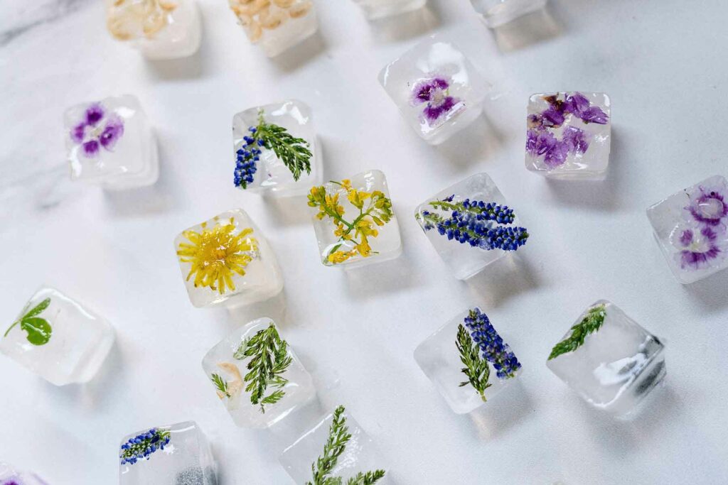 Edible flowers frozen in ice cubes