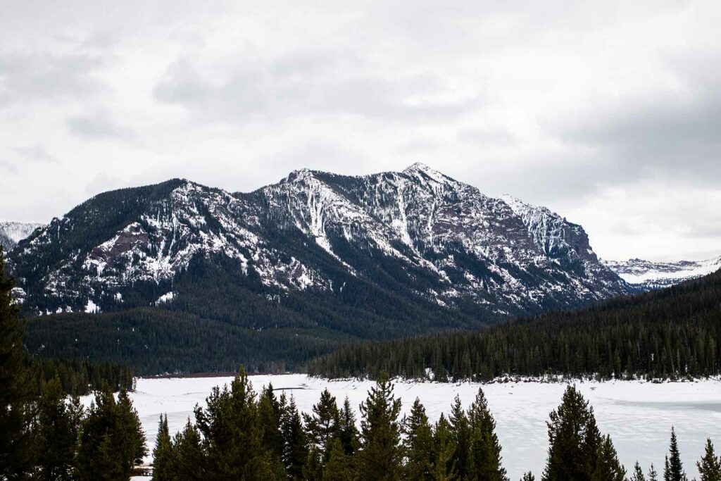 A snowcapped mountain in Bozeman, Montana, surrounded by trees 