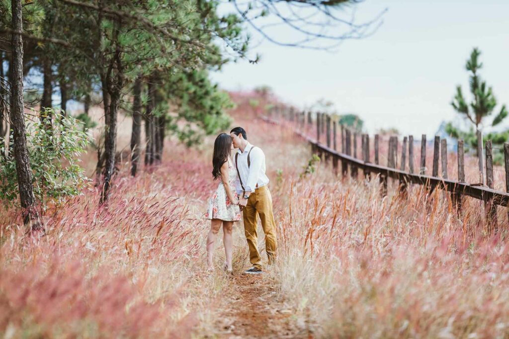 An engagement photo in a meadow with pink grass, a fence and trees