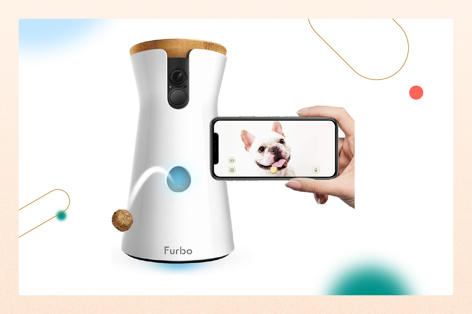 https://withjoy.com/blog/wp-content/uploads/2023/10/pet-camera.jpg