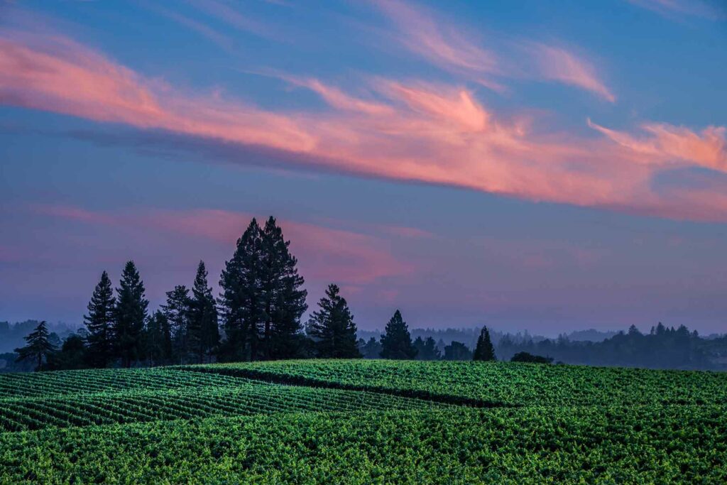 Sonoma Valley wine region at dusk, one of the best places to propose in the U.S.