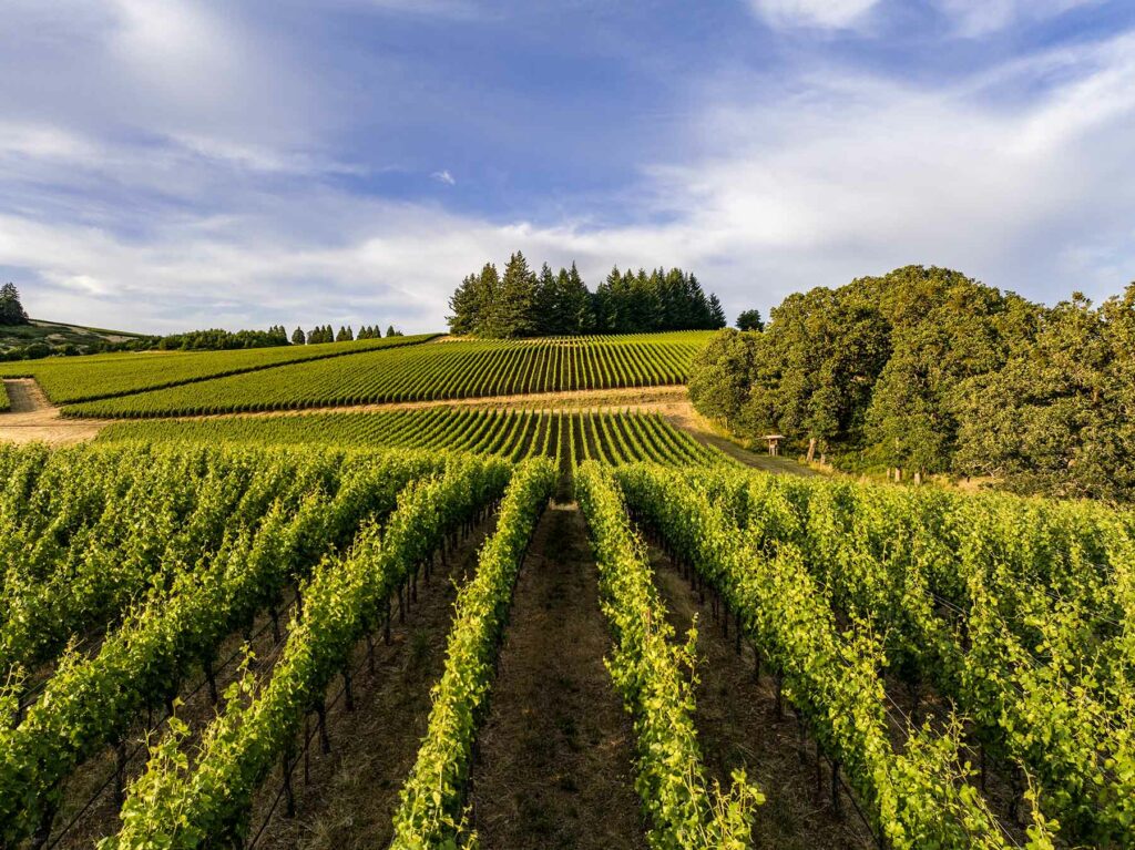 Willamette Valley, one of the best places to propose in the U.S.