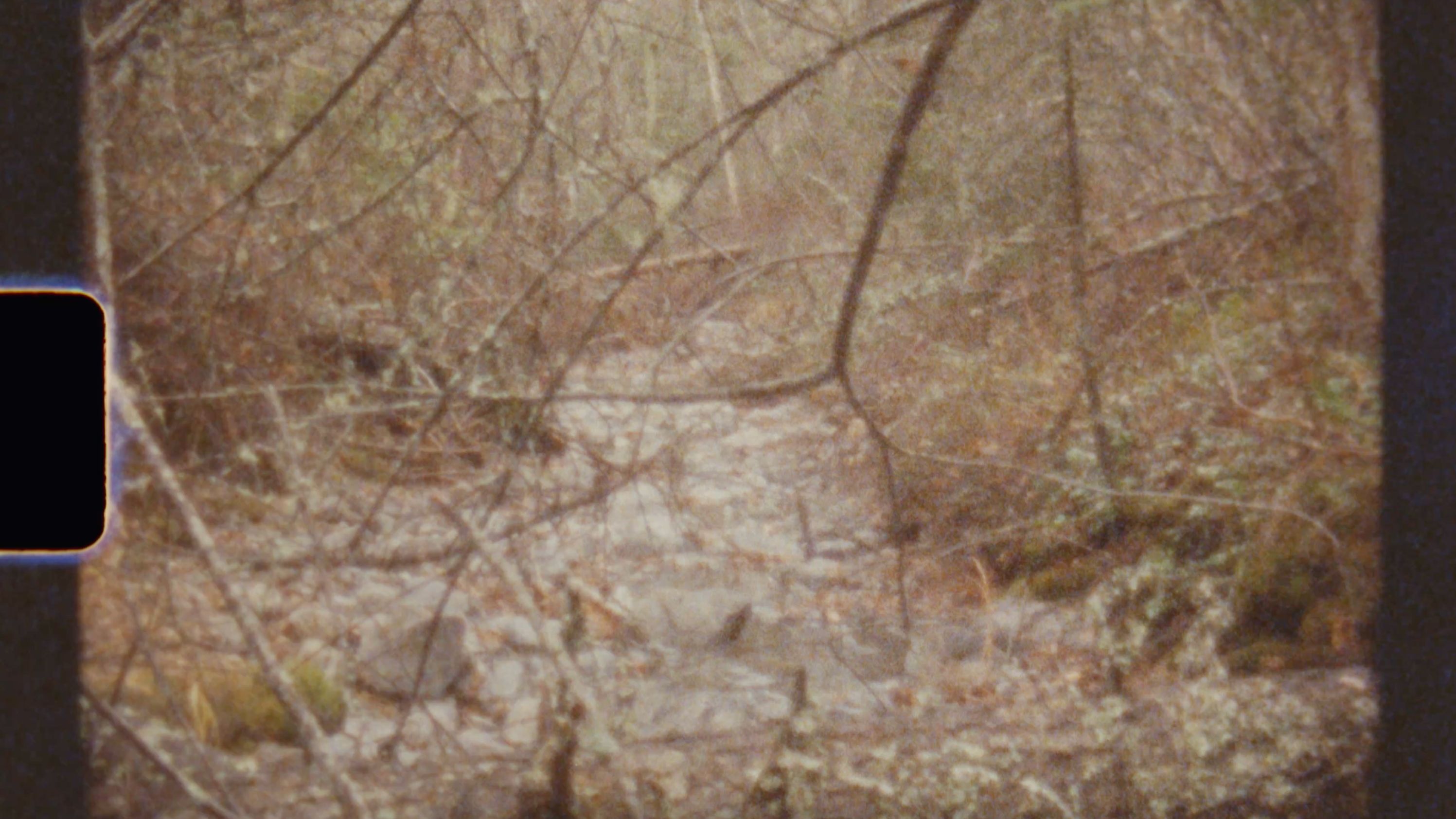 Video Background Thumbnail