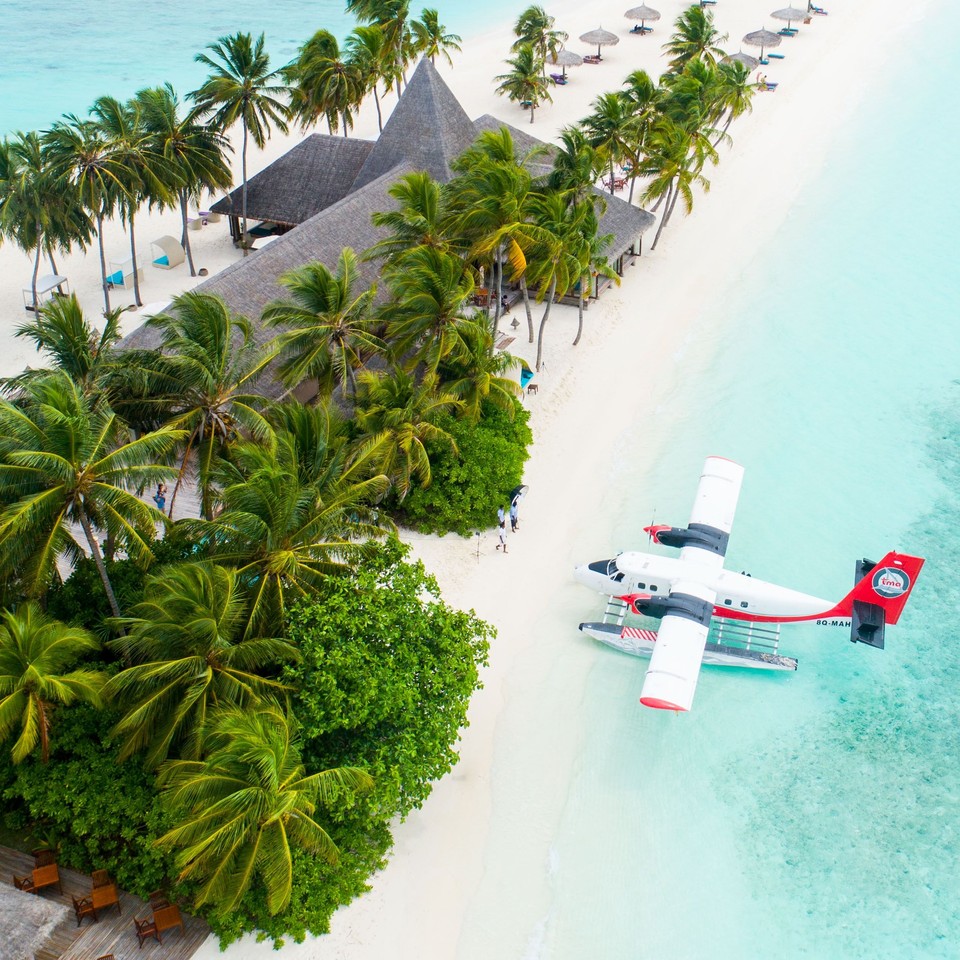 Island honeymoon destination showing a plane on the beach surrounded by palm trees