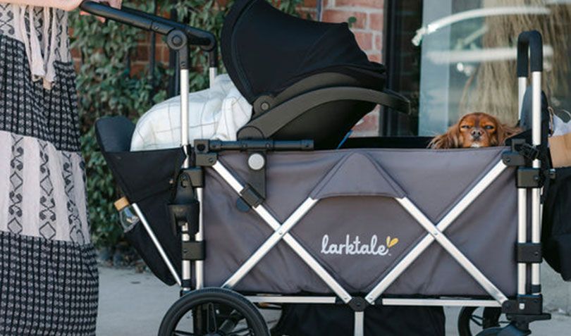 6 seat wagon stroller W6 Luxe (6 Seater) | WonderFold – Wonderfold Bottom Fishing Tactics for FLASH SALE | EXTRA 10% OFF Never miss another day Color:Red w/Copper Blade