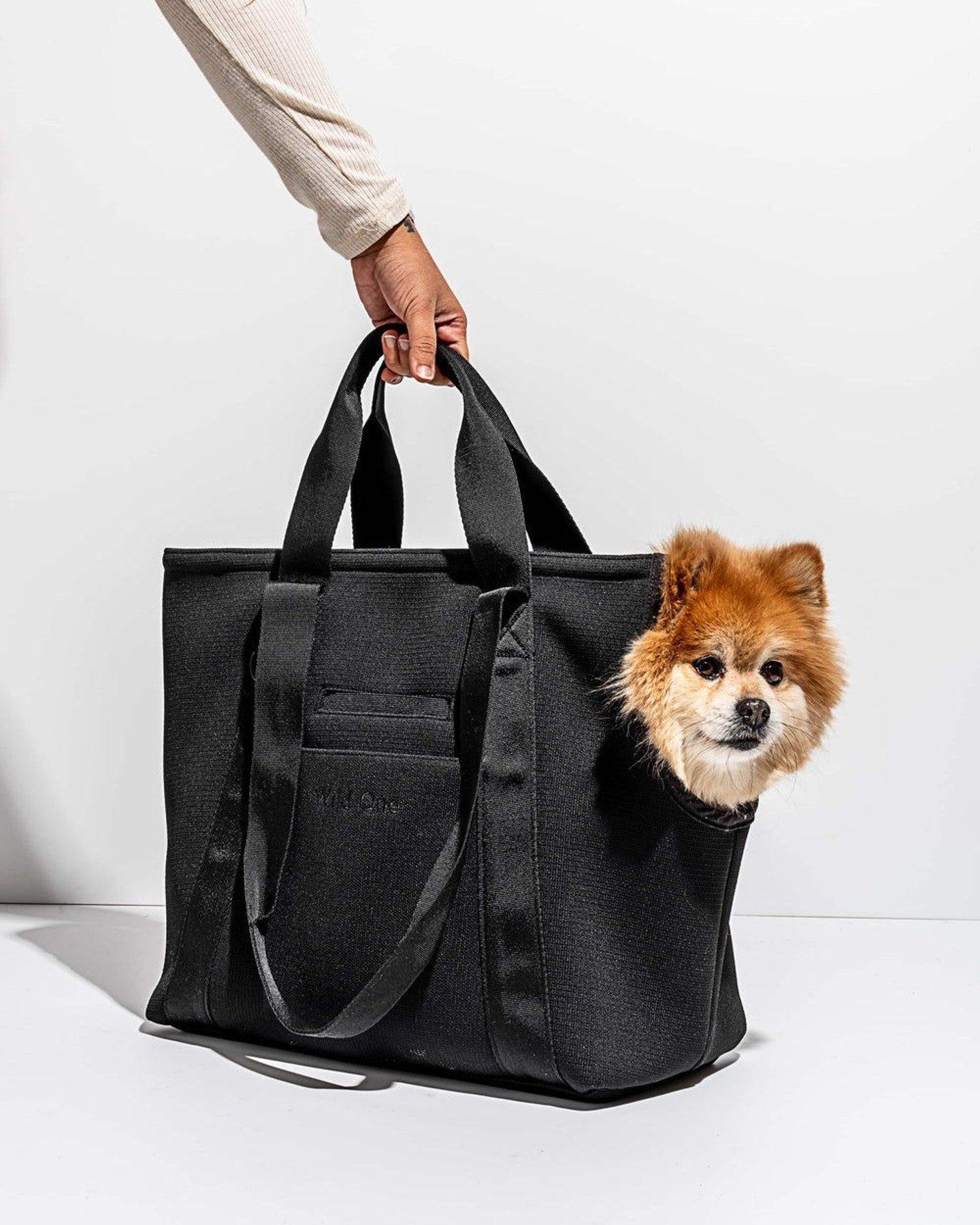 Wild One Everyday Carrier for pets