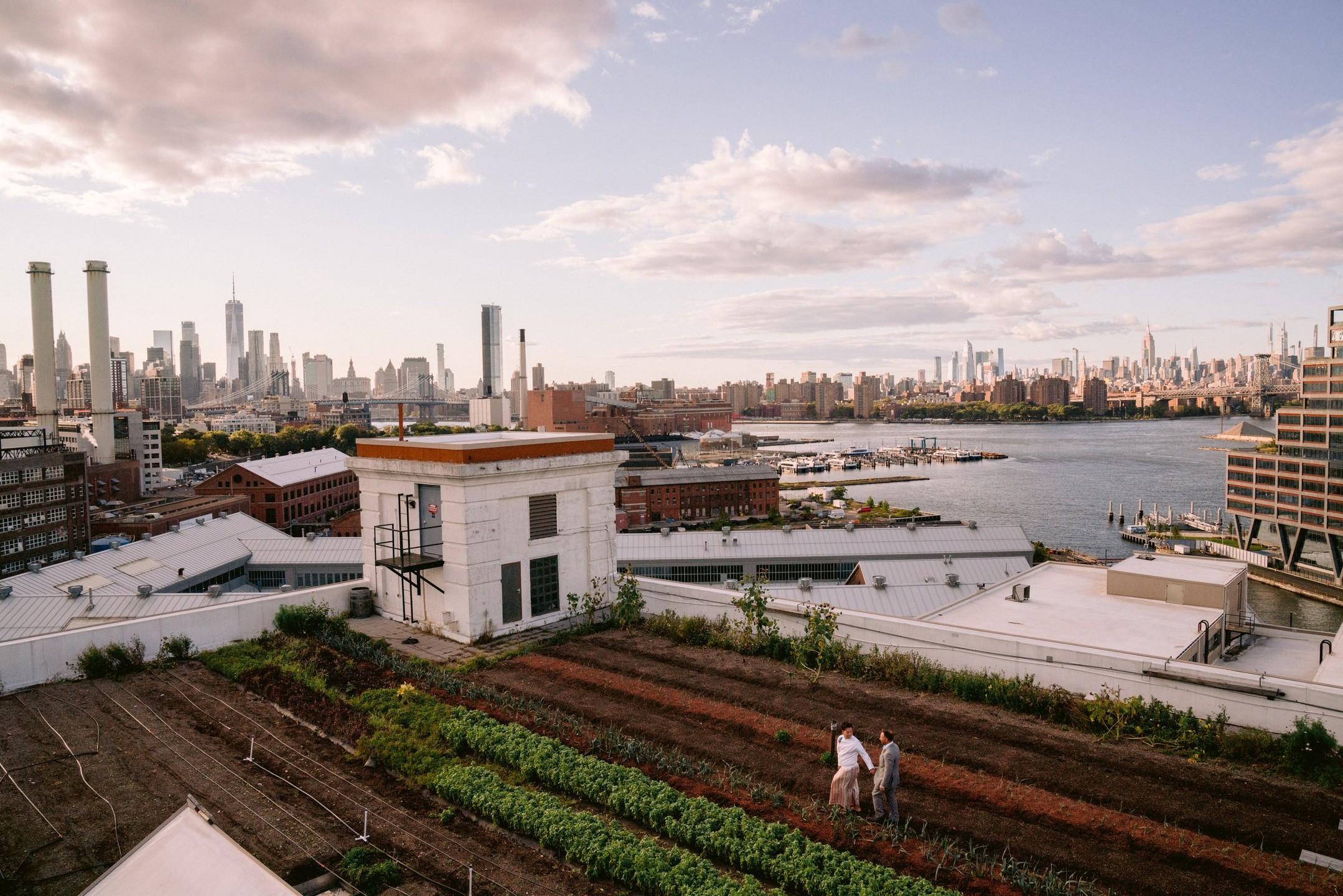 Brooklyn Grange Navy Yard Photos