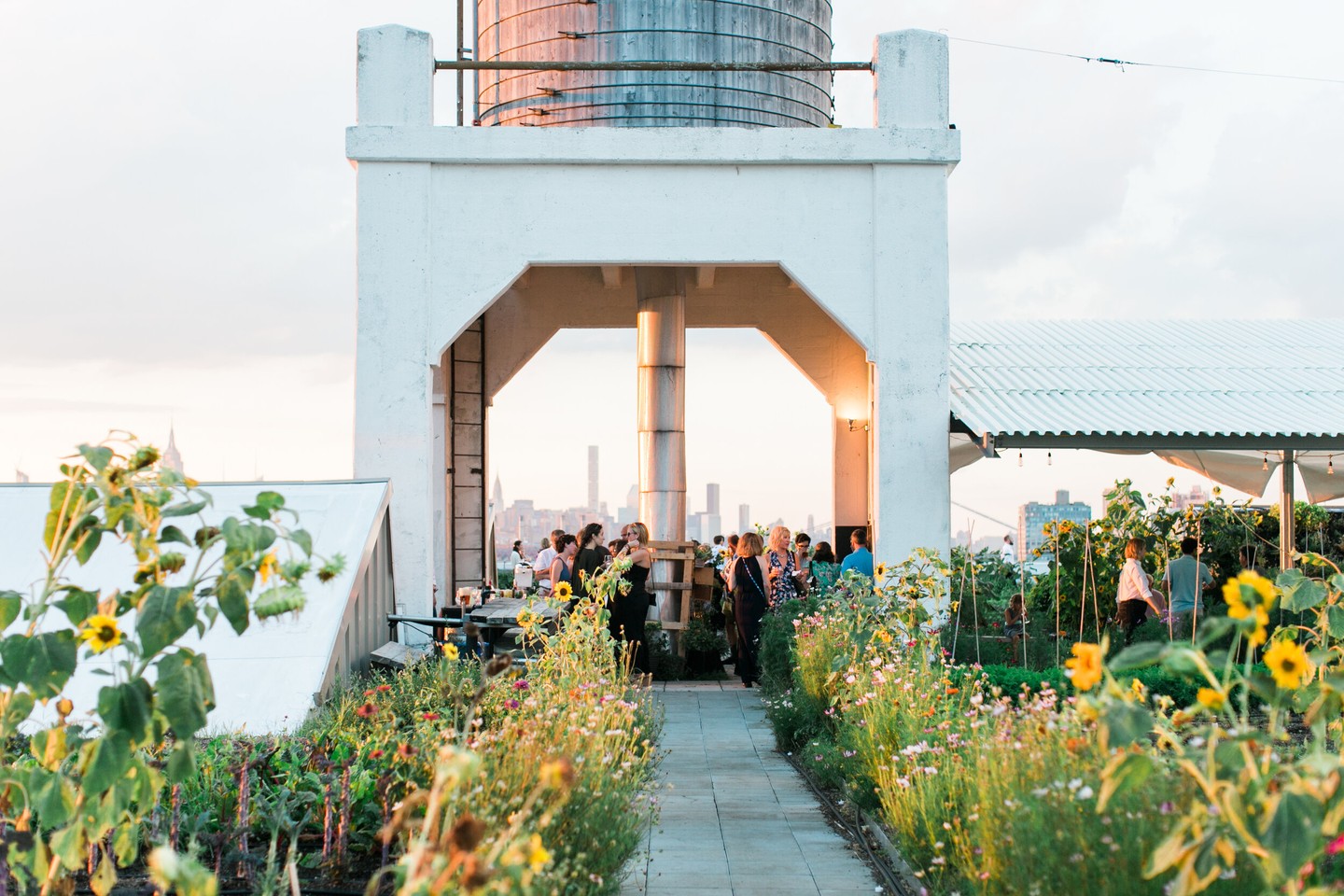 Brooklyn Grange Navy Yard Photos