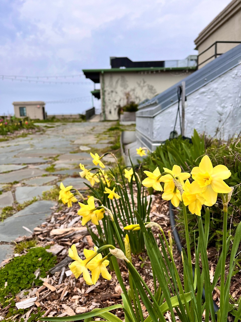 Brooklyn Grange Sunset Park Photos