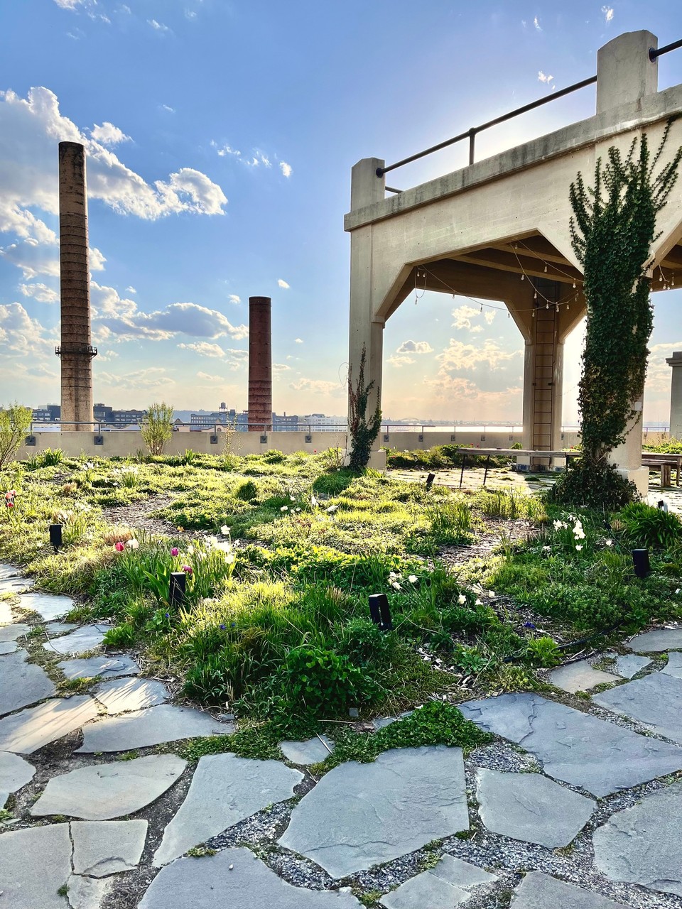 Brooklyn Grange Sunset Park Photos