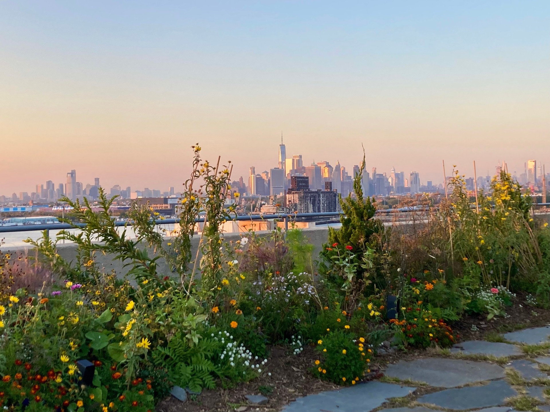 Brooklyn Grange Sunset Park Photos