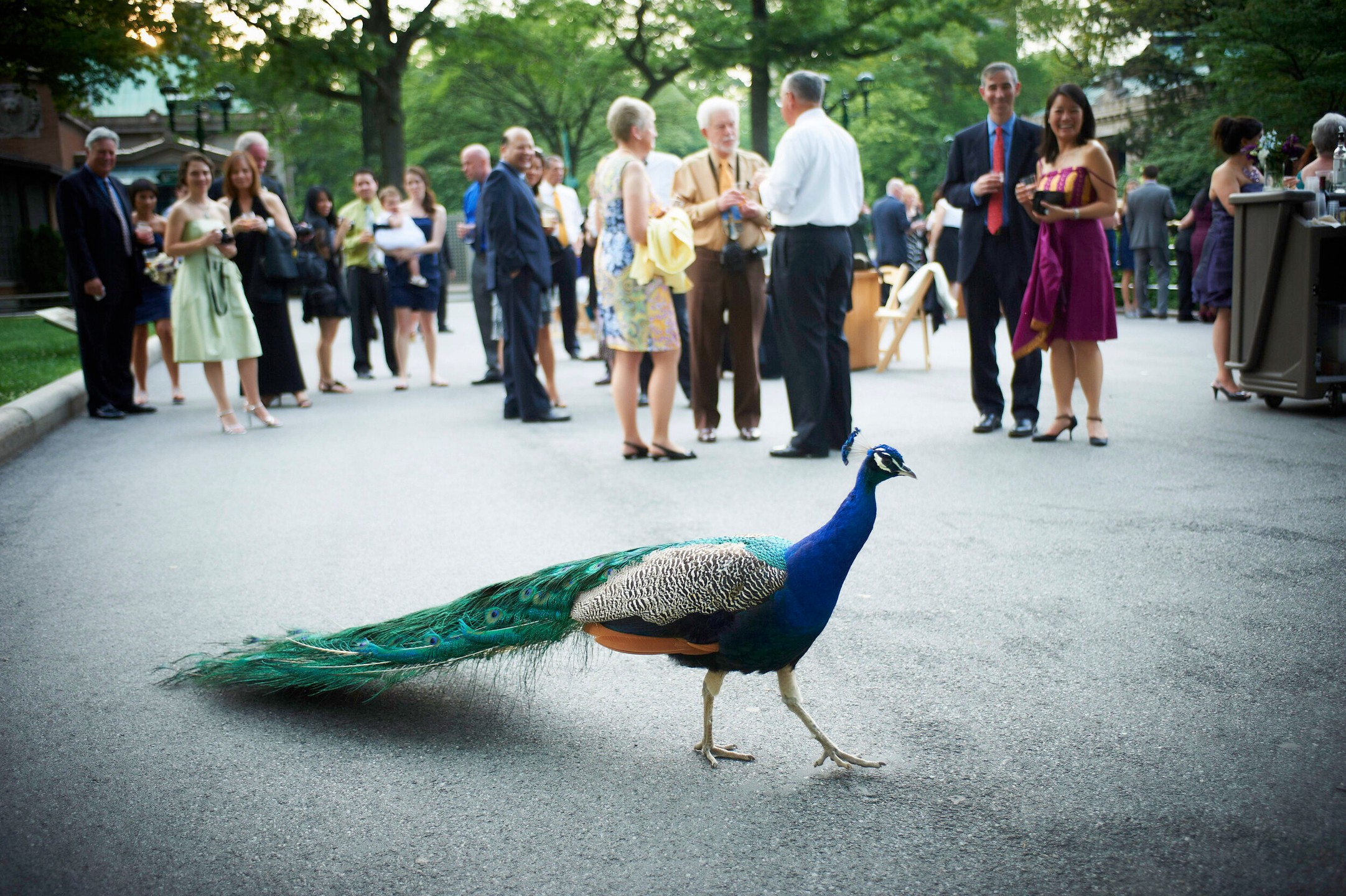 Bronx Zoo Photos