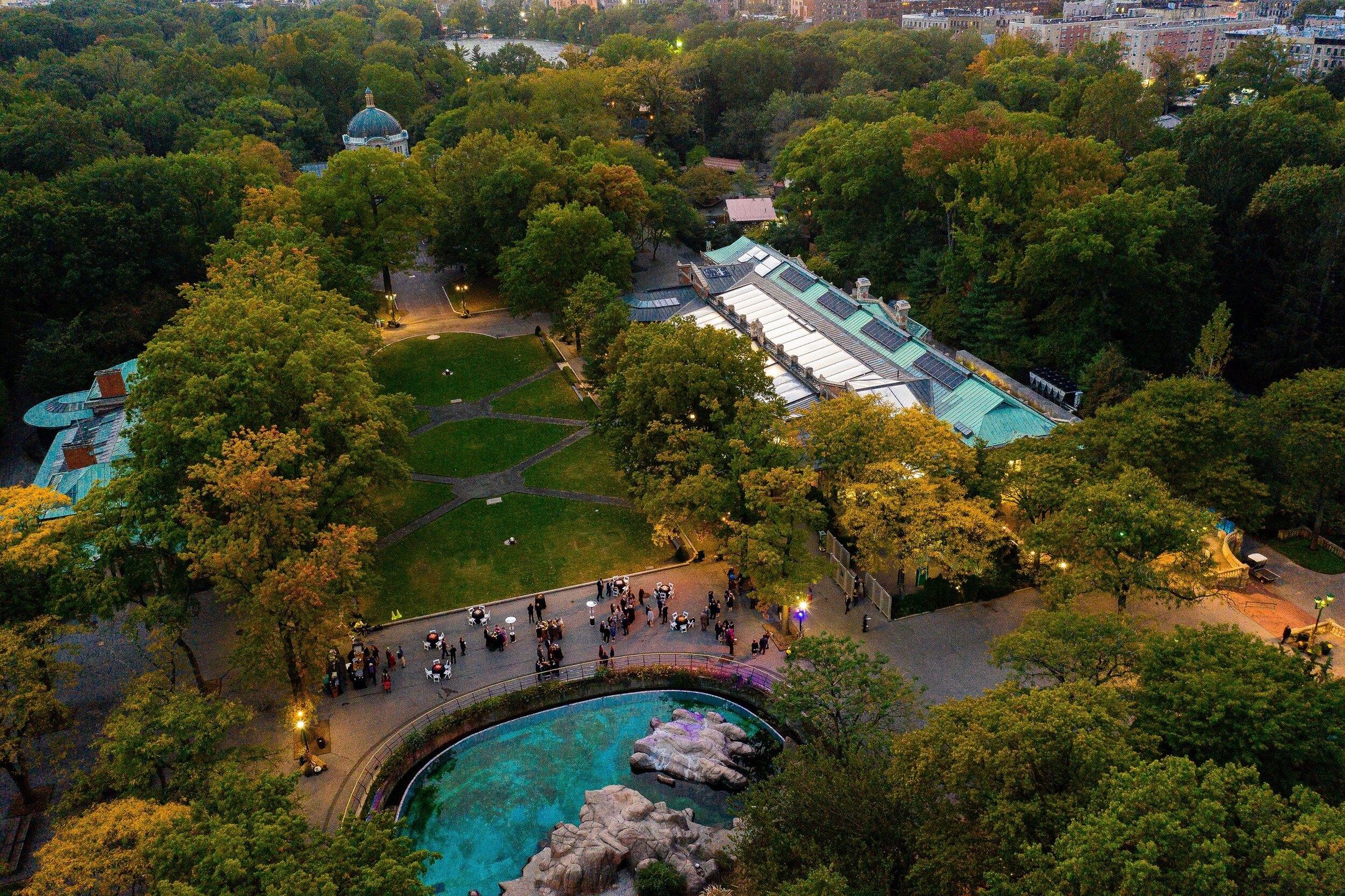 Bronx Zoo Photos