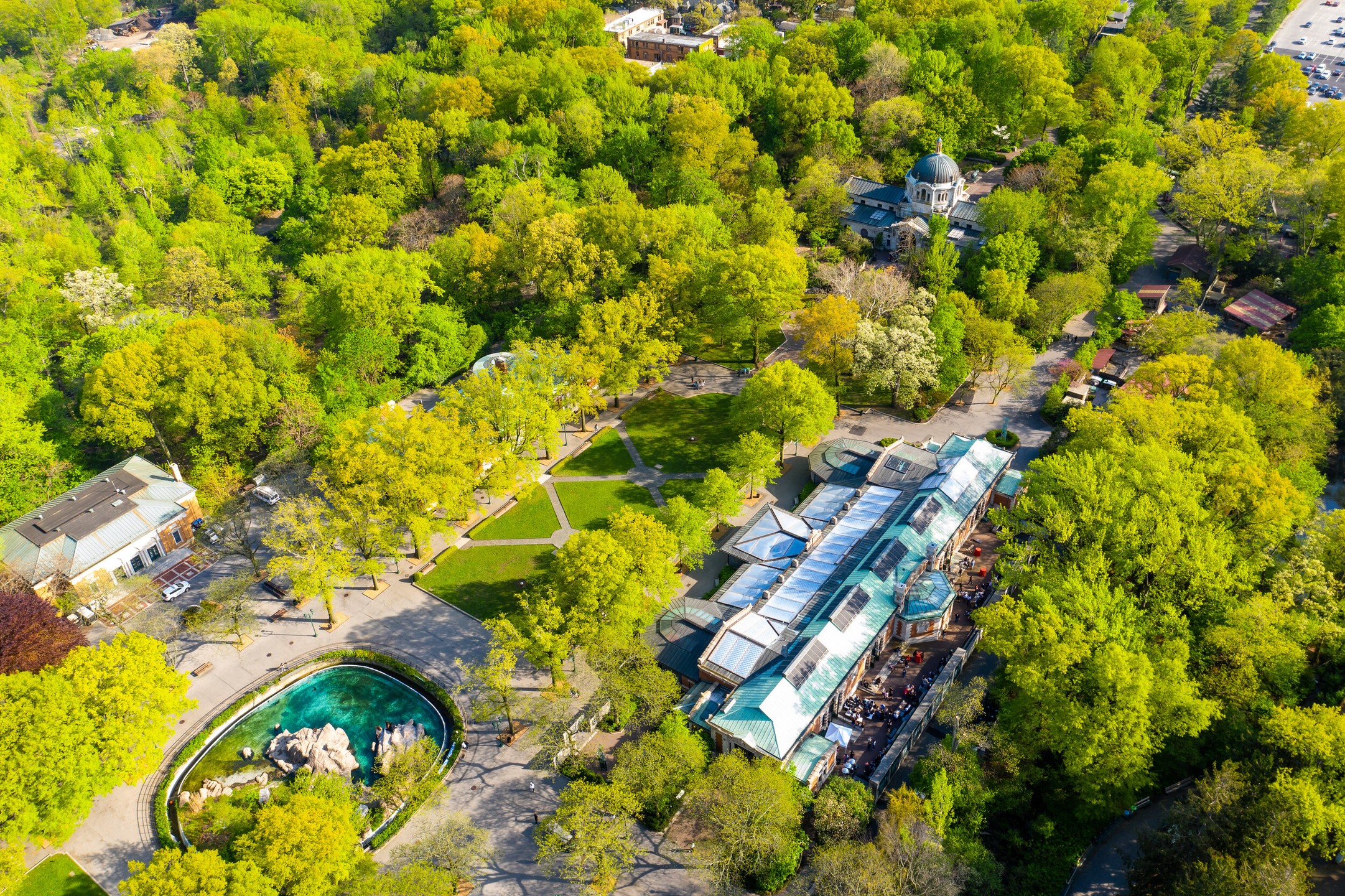 Bronx Zoo Photos